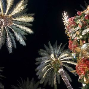 Meet your Posher, Vic